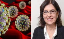 Cientista brasileira encontra proteína chave para tratamento da Covid