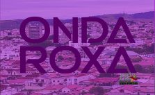 Fechando: Romeu Zema anuncia Onda Roxa em toda Minas Gerais