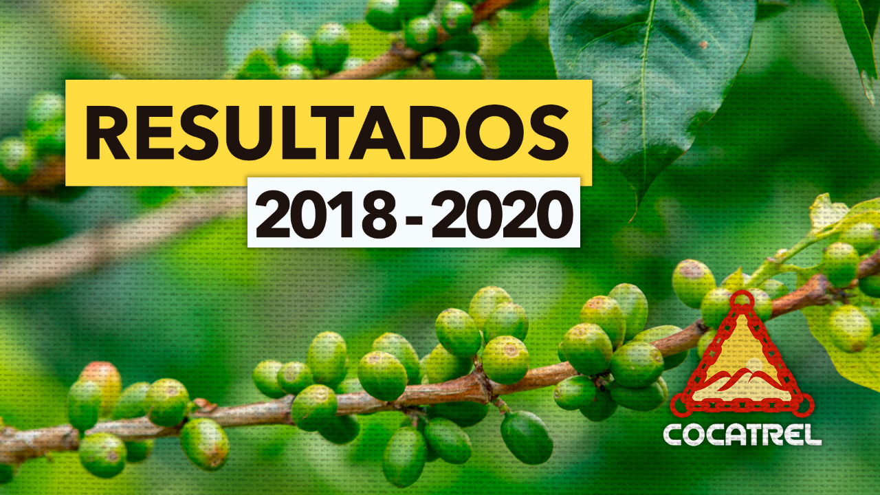 Diretoria da Cocatrel faz uma retrospectiva de sua gestão e apresenta principais entregas do triênio 2018/2020