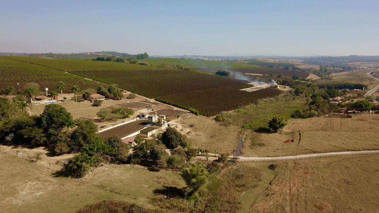 Geadas no Sul de MG podem elevar preços do café para safra de 2022; entenda