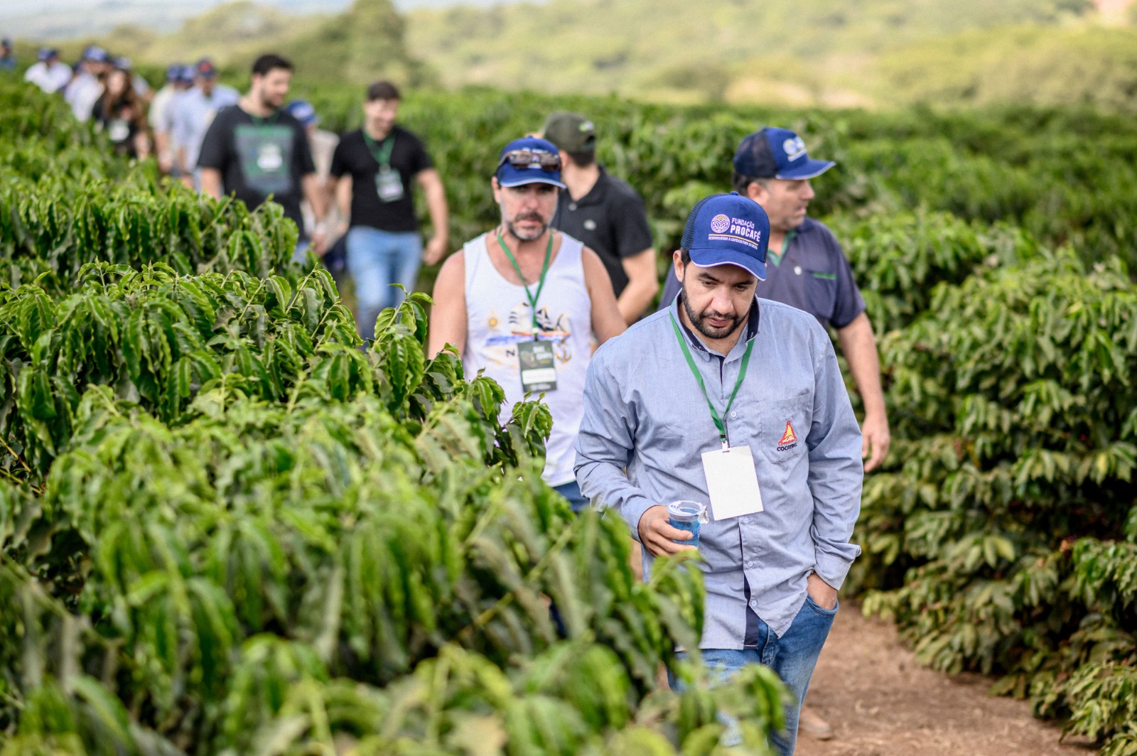 CAFÉ: Quebra da safra, novas cultivares e manejo: Procafé espera 3 mil pessoas em evento técnico em Varginha