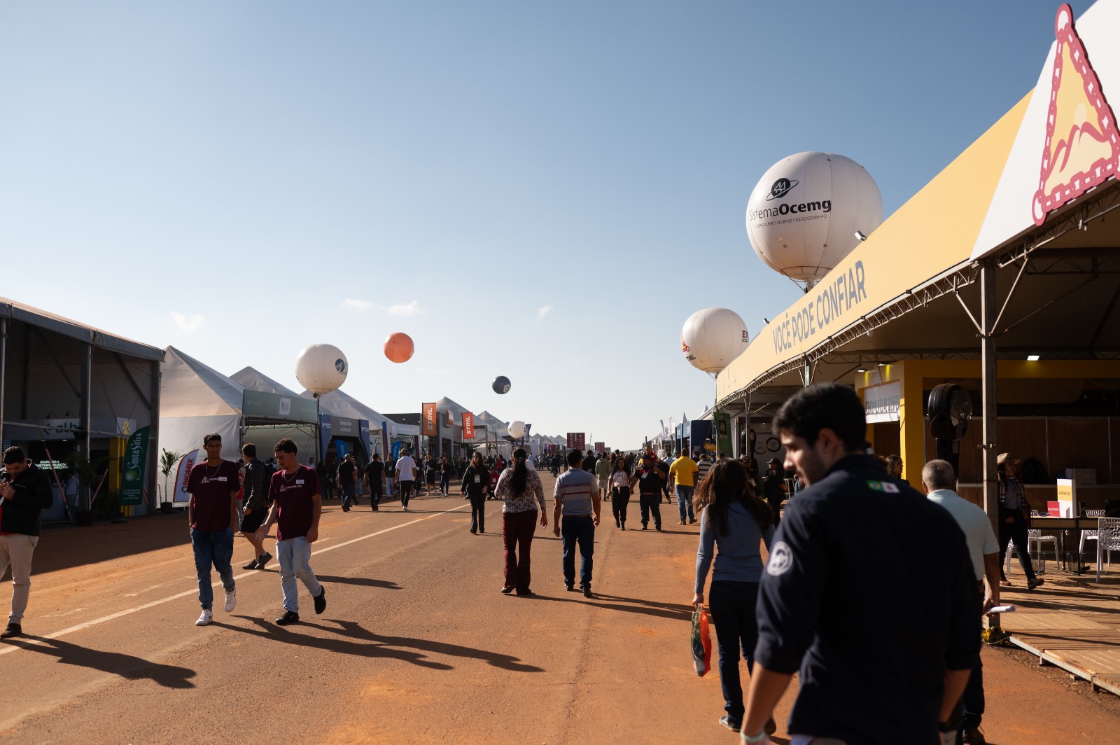 Expocafé 2025: Programação terá foco em tecnologia e estratégias para a nova era da cafeicultura