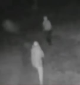 CRIMINOSOS FURTAM FAZENDA EM TRÊS PONTAS