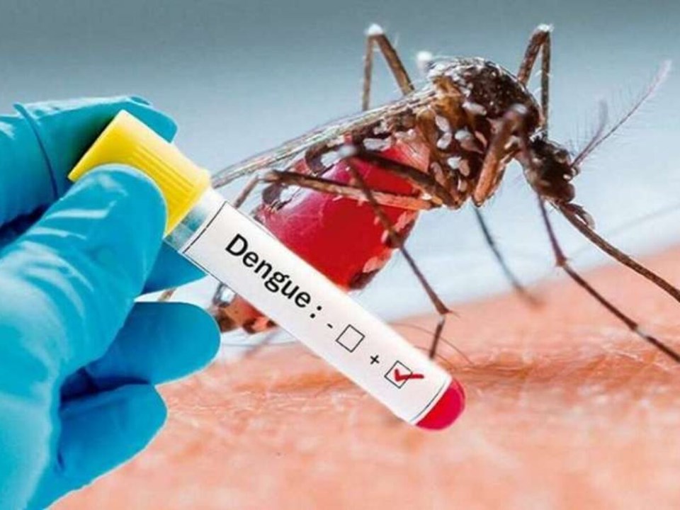 BRASIL BATE RECORDE DE MORTES POR DENGUE